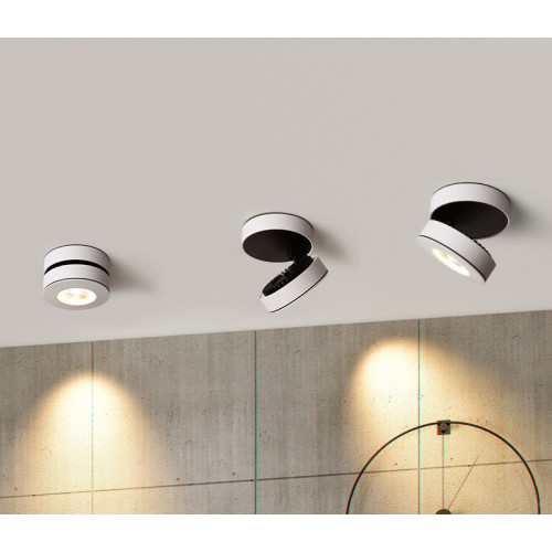 Точковий накладний світлодіодний світильник Prima Luce AR-100-SM 12W WH